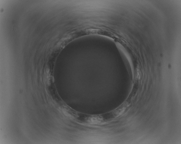 X0000077390223200611032009