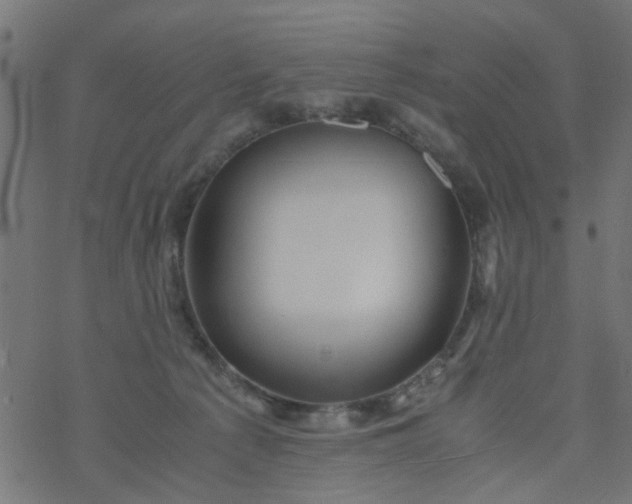 X0000077390225200611032009