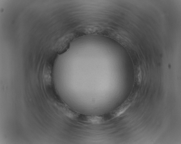 X0000077390226200611032009