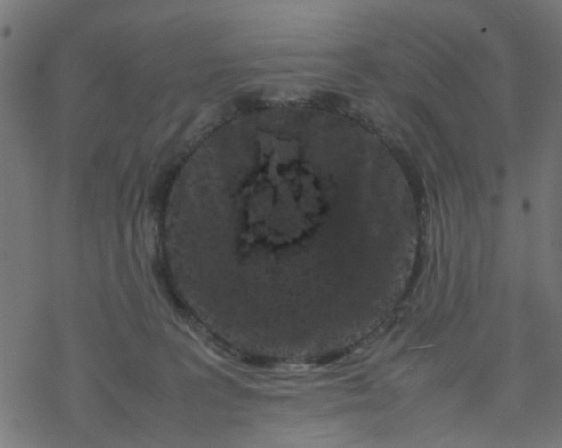 X0000077390227200611032009