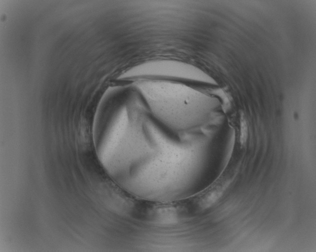 X0000077390228200611032009