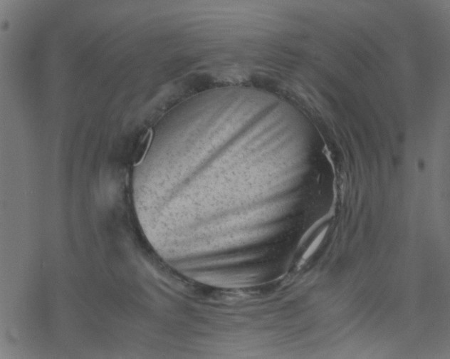 X0000077390229200611032009