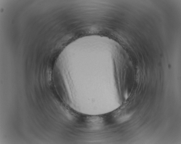 X0000077390230200611032009