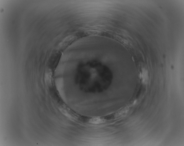 X0000077390231200611032009