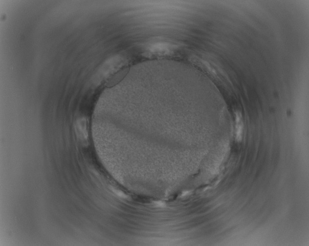 X0000077390232200611032009