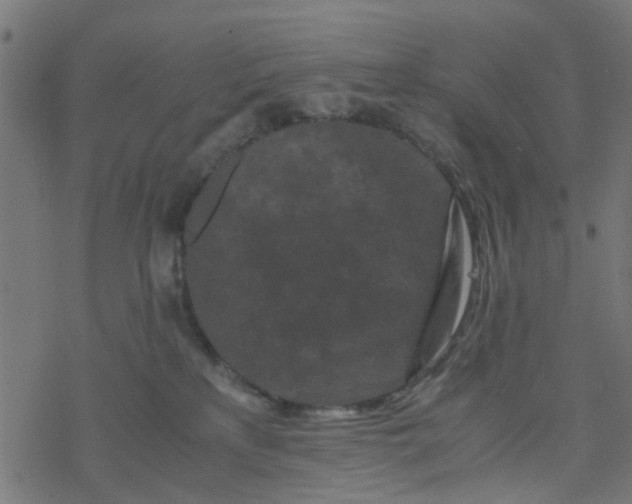 X0000077390233200611032009