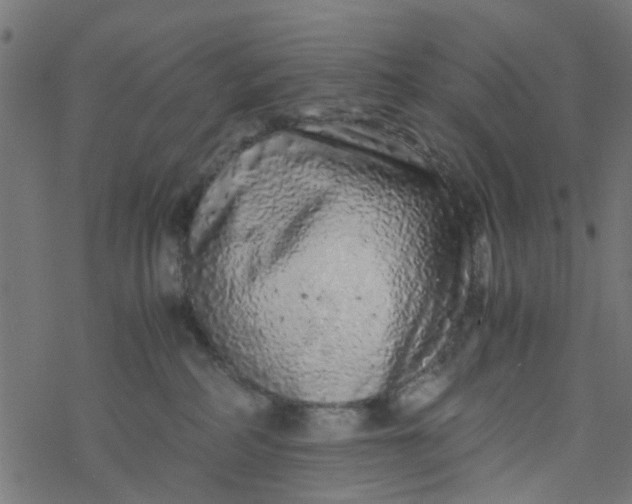 X0000077390234200611032009