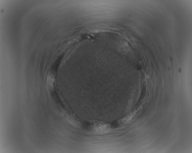 X0000077390235200611032009