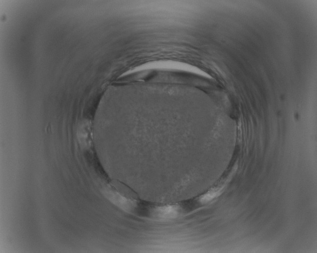 X0000077390237200611032009