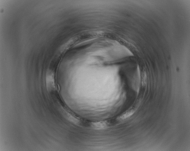 X0000077390238200611032009