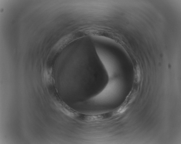 X0000077390239200611032009