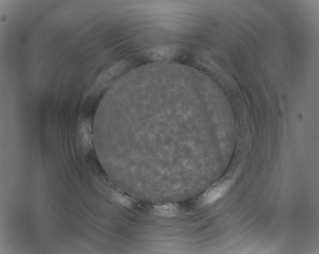 X0000077390240200611032009