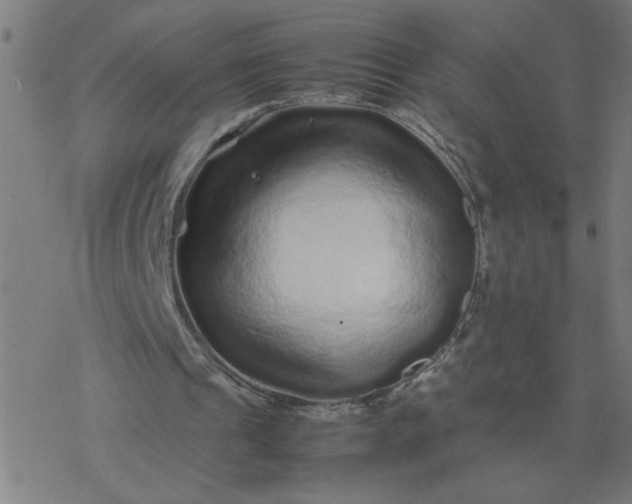 X0000077390241200611032008