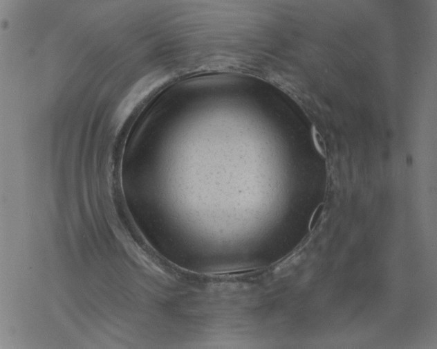 X0000077390242200611032008