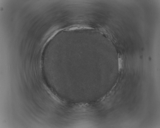 X0000077390243200611032008