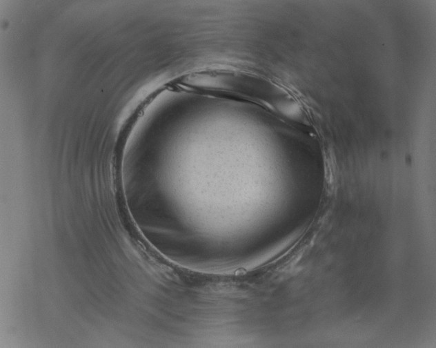 X0000077390244200611032008