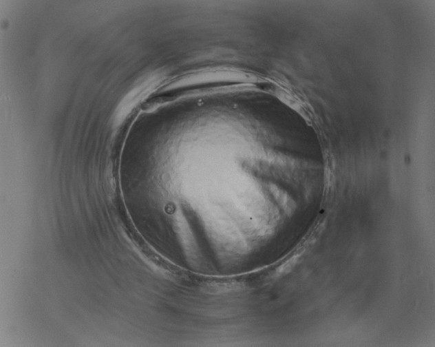 X0000077390245200611032008