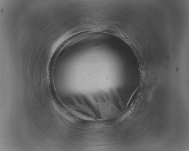 X0000077390246200611032008