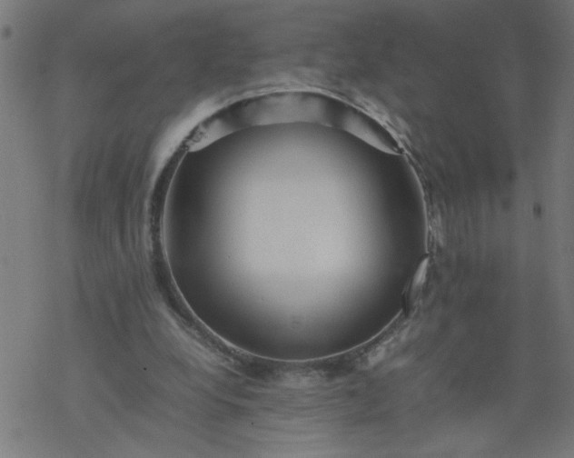 X0000077390248200611032008