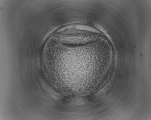 X0000077390249200611032008