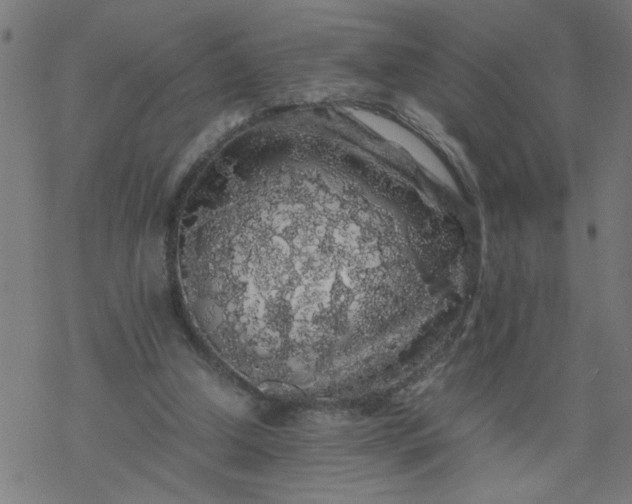 X0000077390250200611032008