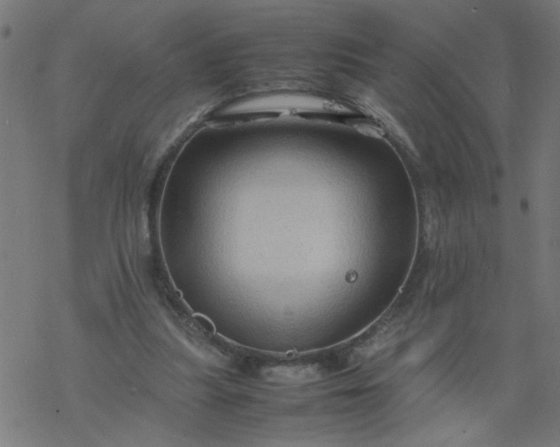 X0000077390251200611032008