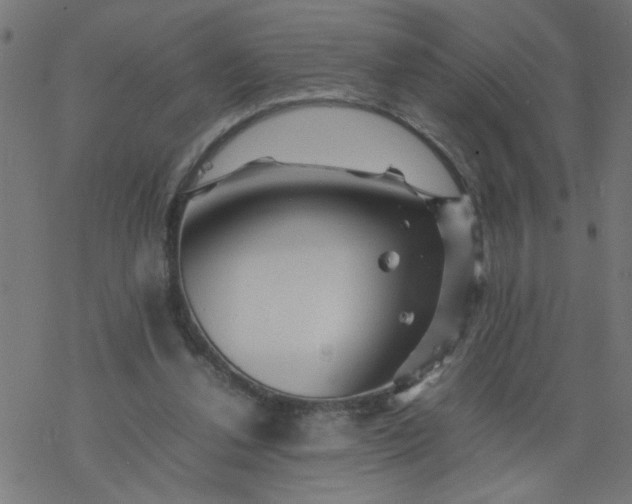 X0000077390252200611032009