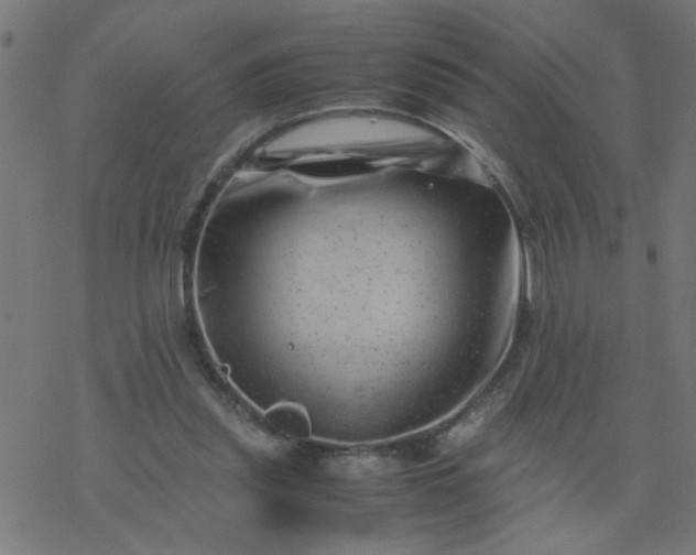 X0000077390253200611032009