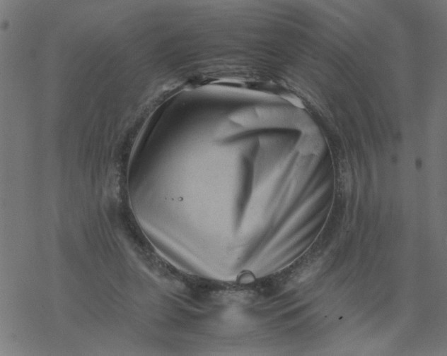 X0000077390255200611032009