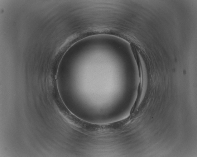 X0000077390256200611032009