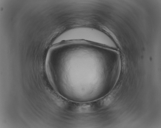 X0000077390257200611032009