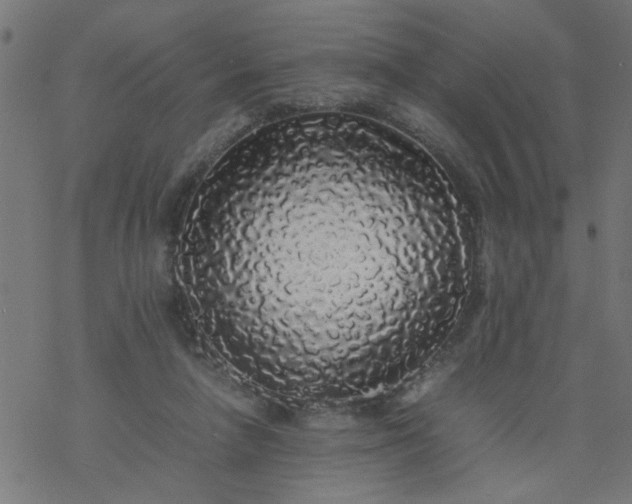 X0000077390258200611032009