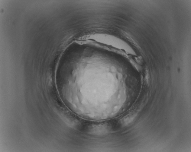 X0000077390259200611032009