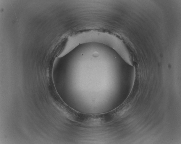 X0000077390260200611032009