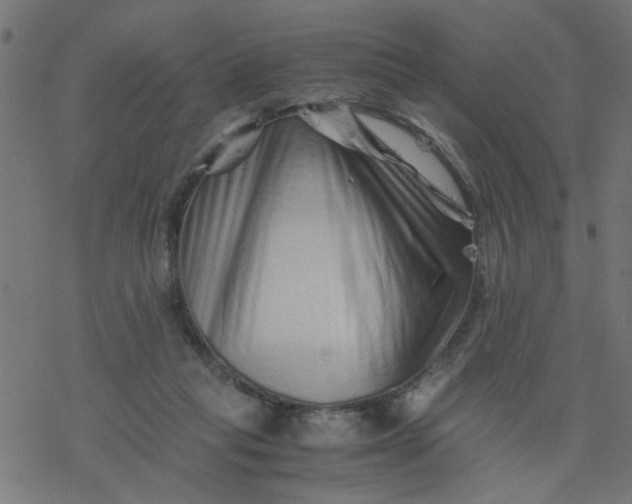 X0000077390261200611032009