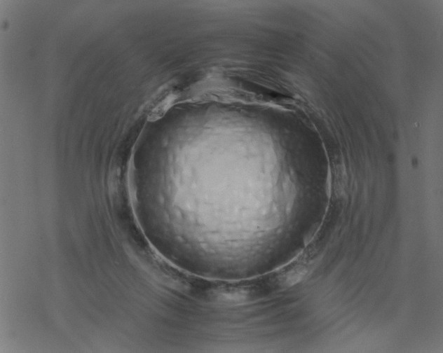 X0000077390263200611032009