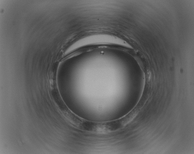 X0000077390264200611032009