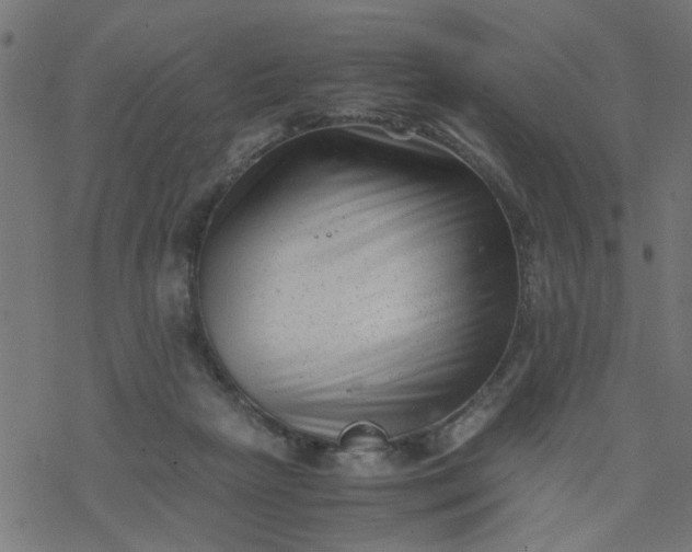 X0000077390265200611032009