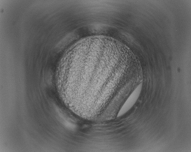 X0000077390266200611032009