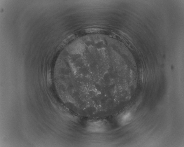 X0000077390267200611032009