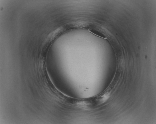 X0000077390268200611032009