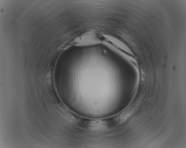 X0000077390269200611032009