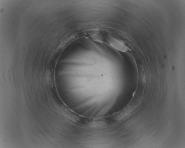 X0000077390270200611032009