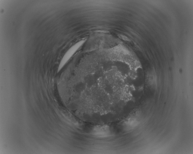 X0000077390271200611032009