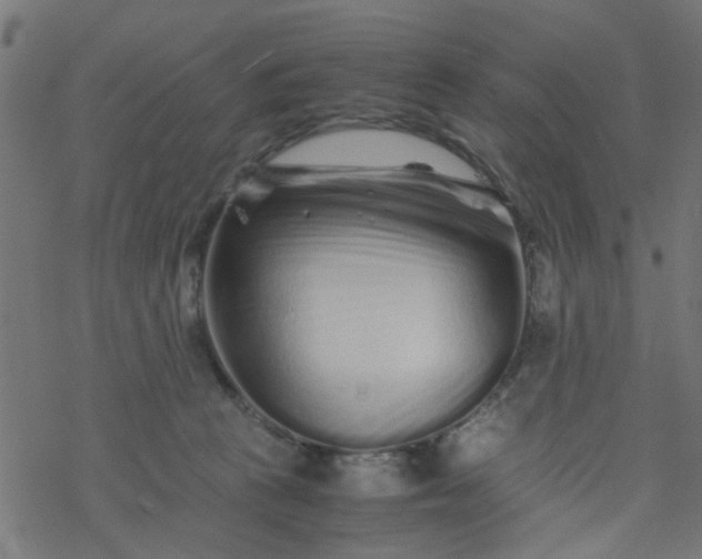 X0000077390273200611032009