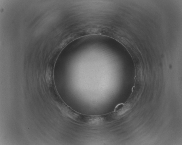 X0000077390274200611032009