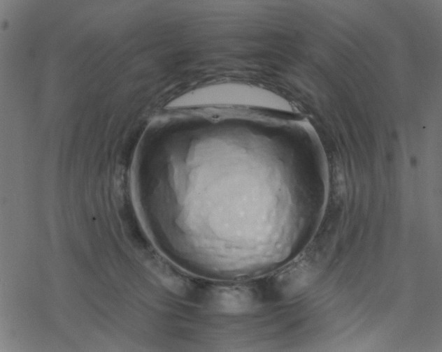 X0000077390275200611032009