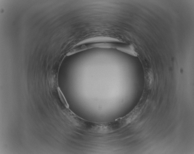 X0000077390276200611032009