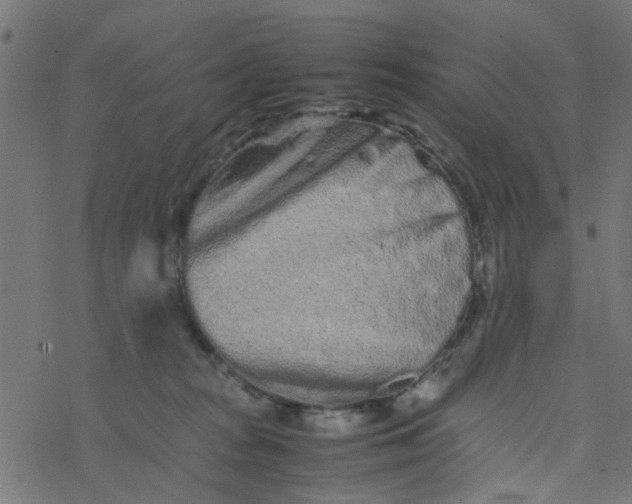 X0000077390277200611032009