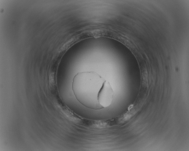 X0000077390278200611032009